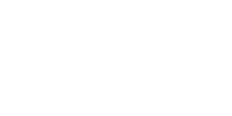Batterie FIAMM