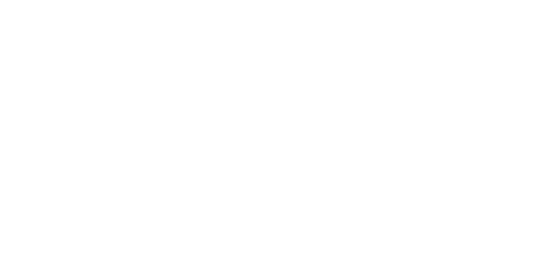 Batterie Ritar Power